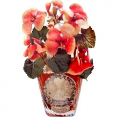 Voilà Pourquoi J'Aimais Rosine